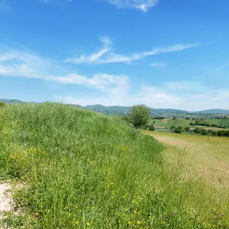 Country Escape In *